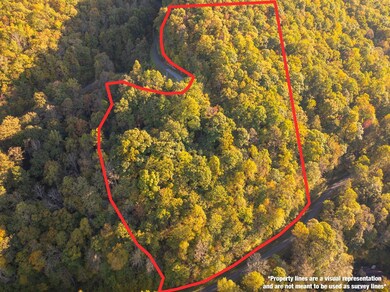 Lot 39 Brush Creek Mountain Rd, Bryson City, NC 28713 - photo 4