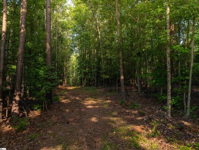 00 Goldmine Rd, Pacolet, SC 29372 - photo 5