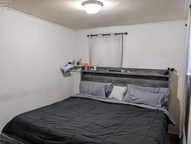 1516 West St, Genoa, OH 43430 - photo 6