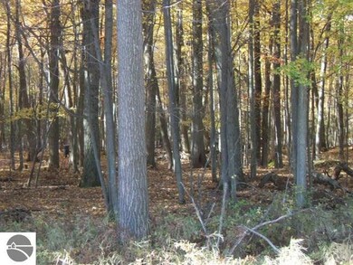 NA Rumsey Rd, Au Gres, MI 48703 - photo 4