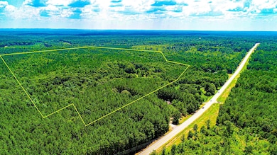 4444 Lagrange Hwy, Greenville, GA 30222 - photo 2