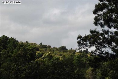 302 Laumania Rd unit 36-C, Kula, HI 96790 - photo 3