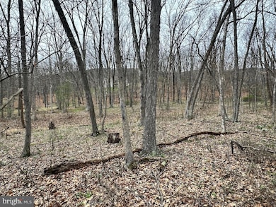 0 Timberlake Estates - Lot 24 unit WVMI2003320, New Creek, WV 26743 - photo 7