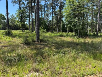 008, Brookeland, TX 75931 - photo 7