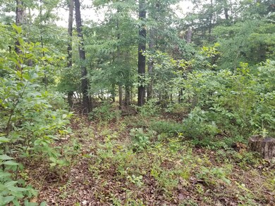 Lot 6 Montego Dr, Ruth B Rural Township, MO 65686 - photo 3