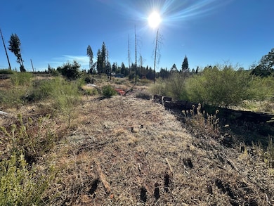 6232 Wesleyan Ct, Magalia, CA 95954 - photo 3