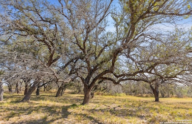 1304 County Road 777, Devine, TX 78016 - photo 3
