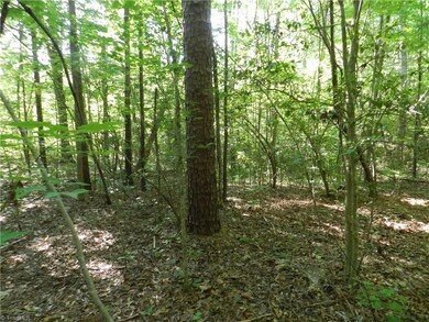 0 Bethel Lucas Rd, Asheboro, NC 27205 - photo 7