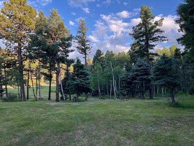 11 Vail Loop, Angel Fire, NM 87710 - photo 3