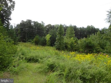 0 Ellisville Rd unit VAOR2006744, Orange, VA 22960 - photo 4