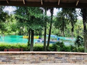 9183 SW 193rd Cir, Dunnellon, FL 34432 - photo 7