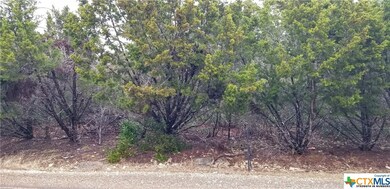 16004 Salado Dr, Temple, TX 76502 - photo 6