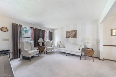 9752 Wainwright Terrace, Olmsted Falls, OH 44138 - photo 5