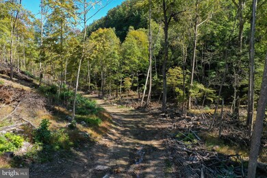 0 Deep Spring Rd unit WVGT103044, Dorcas, WV 26847 - photo 6