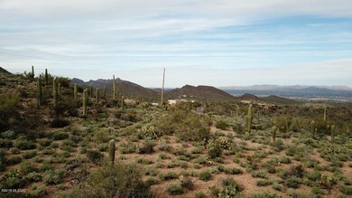 Broken Spring 1-30-19 (9)
