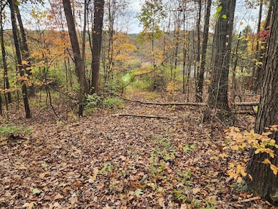 12522 Turkey Farm Rd, Huntingdon, PA 16652 - photo 4