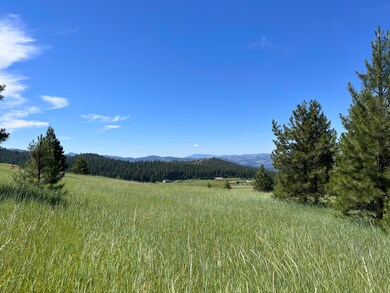 IMG_8599