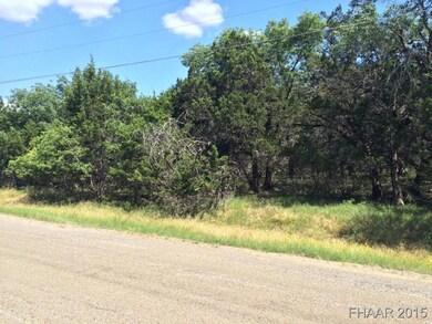 4996 Comanche Dr, Temple, TX 76502 - photo 4