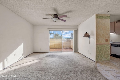 814 S Langley Ave unit 104, Tucson, AZ 85710 - photo 7