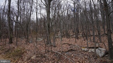 15 Roberts Ln, Berkeley Springs, WV 25411 - photo 6