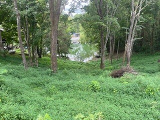 0 Cline Ridge Rd unit RTC2969476, Winchester, TN 37398 - photo 7