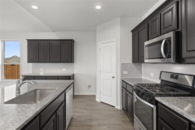 1840 Barberry Way, Weatherford, TX 76086 - photo 6