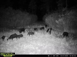 0 County Line Rd unit 18864854, Lee, FL 32059 - photo 3