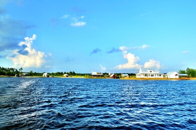 photo 1 (5)