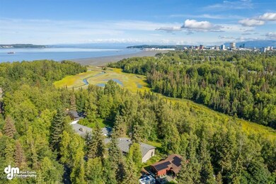 50-Aerials MS_0293