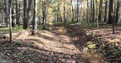 0 N Frederick Pike unit VAFV2038096, Winchester, VA 22603 - photo 3