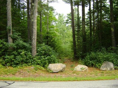 00 States Landing Rd unit 77, Moultonborough, NH 03254 - photo 4