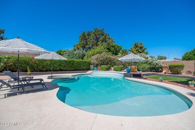 2328 W Lobo Up Close Pool Spa