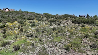 31185 Broken Talon Trail, Oak Creek, CO 80467 - photo 7