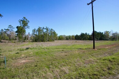 21299 Big Buck Dr, Cleveland, TX 77328 - photo 3