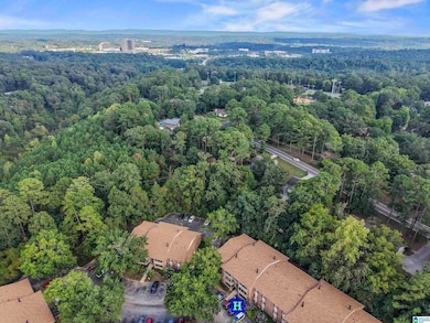 1701 Patton Creek Ln unit 1701, Hoover, AL 35226 - photo 2