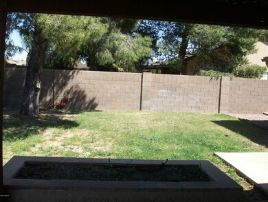 PRIVATE BACKYARD