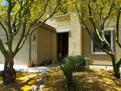 desert landscaped