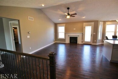 unlisted-address, Downs, IL 61736 - photo 4