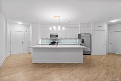 Kitchen featuring stainless steel appliances, light countertops, and light wood-type flooring