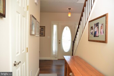 101 Big Limb Ln, Stephens City, VA 22655 - photo 4