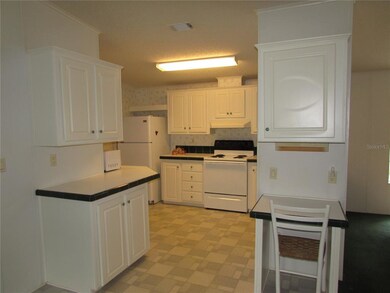 11041 SW 189th Ave, Dunnellon, FL 34432 - photo 5