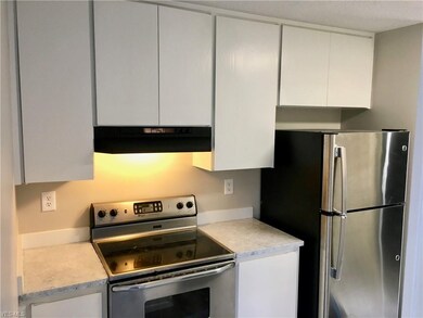 Freshly pained cabinets, new stainless refrigerato