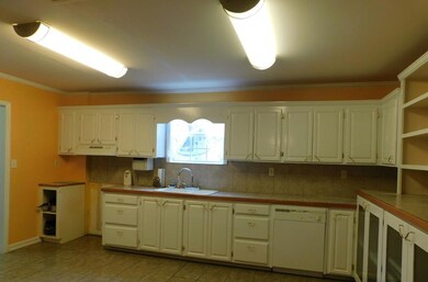 689 Wade Rd, Pelham, GA 31779 - photo 4