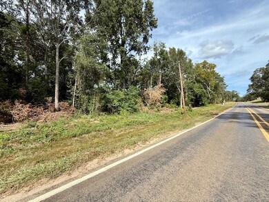 915 E Court St, Newton, TX 75966 - photo 4