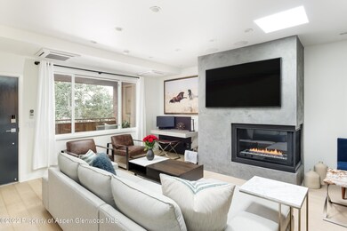 450 S Original St unit 8, Aspen, CO 81611 - photo 2