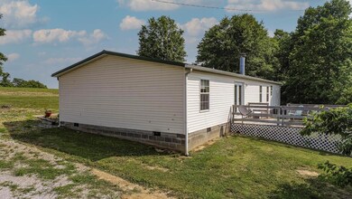 1313 Pike Bluff Rd, Ewing, KY 41039 - photo 4