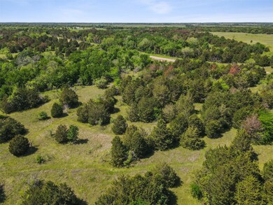 TBD Farm To Market 3243, Corsicana, TX 75109 - photo 3