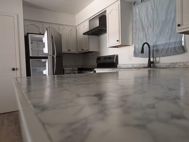 4710 Pita Dr, Laredo, TX 78041 - photo 7