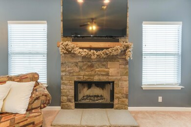 Wood burning Fireplace with stone surround