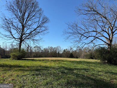 0 E Deer Run Trail unit 10651119, Lavonia, GA 30553 - photo 6